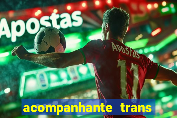 acompanhante trans em santos